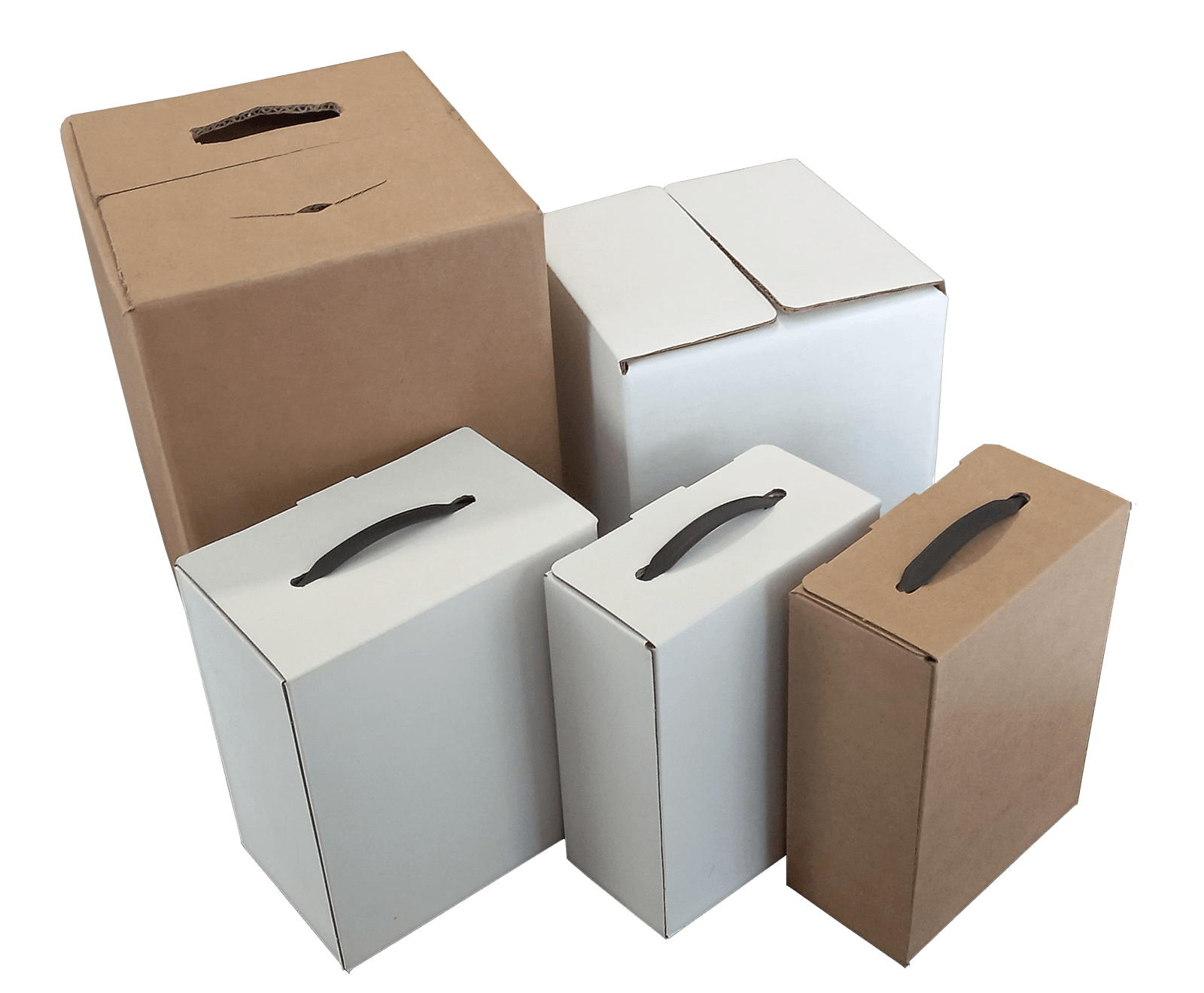 BAG IN BOX
